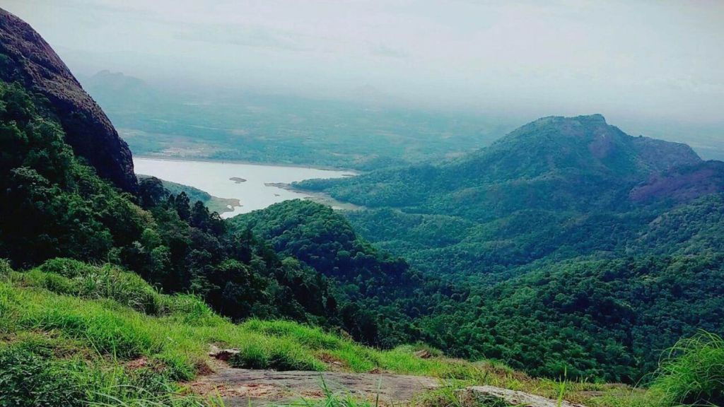 Green hub of Kerala, The beauty of Palakkad