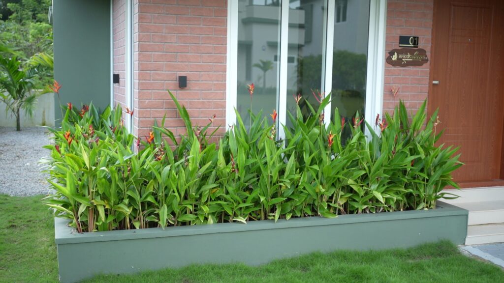 Premium Villas at Edathara Palakkad